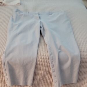 Ann Taylor womens Soft Blue Chinos